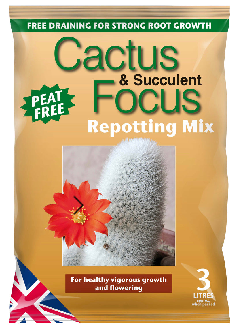 Cactus and succulent re-potting mix