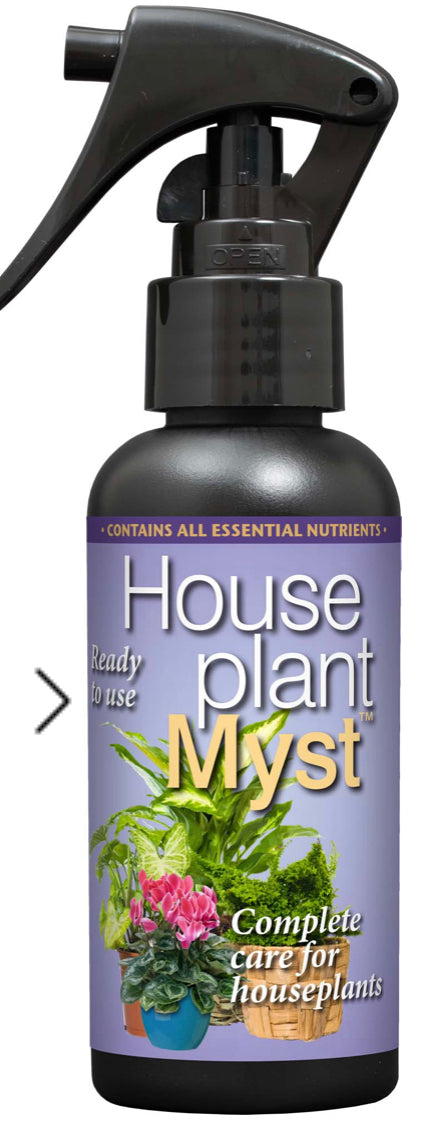 House plant myst