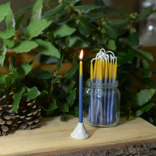 
                  
                    Beeswax Celebration Candles (Blue)
                  
                