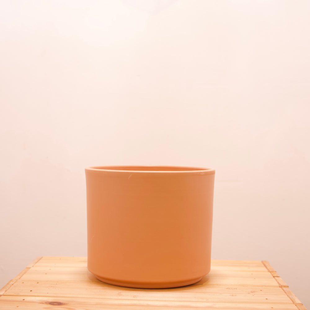 
                  
                    Terracotta Planter
                  
                